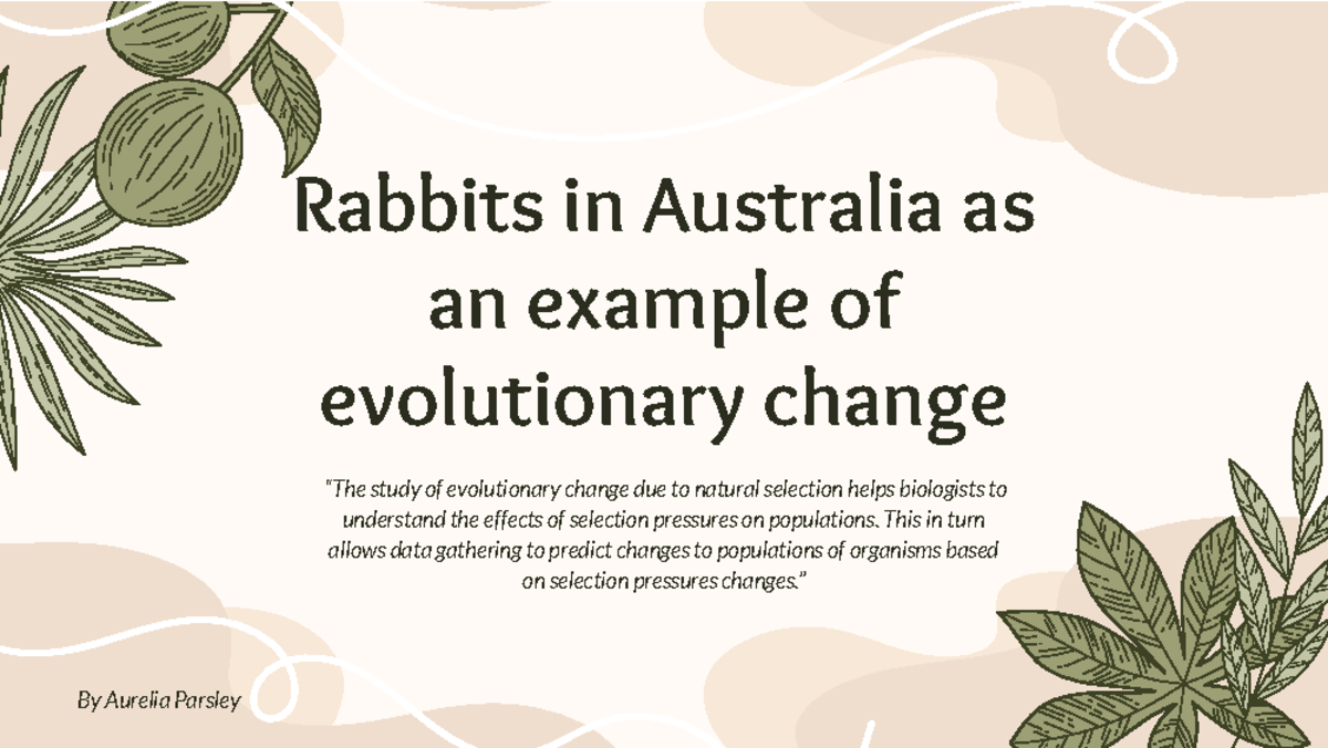 Rabbits as an example of evolutionary change - Rabbits in Australia as ...