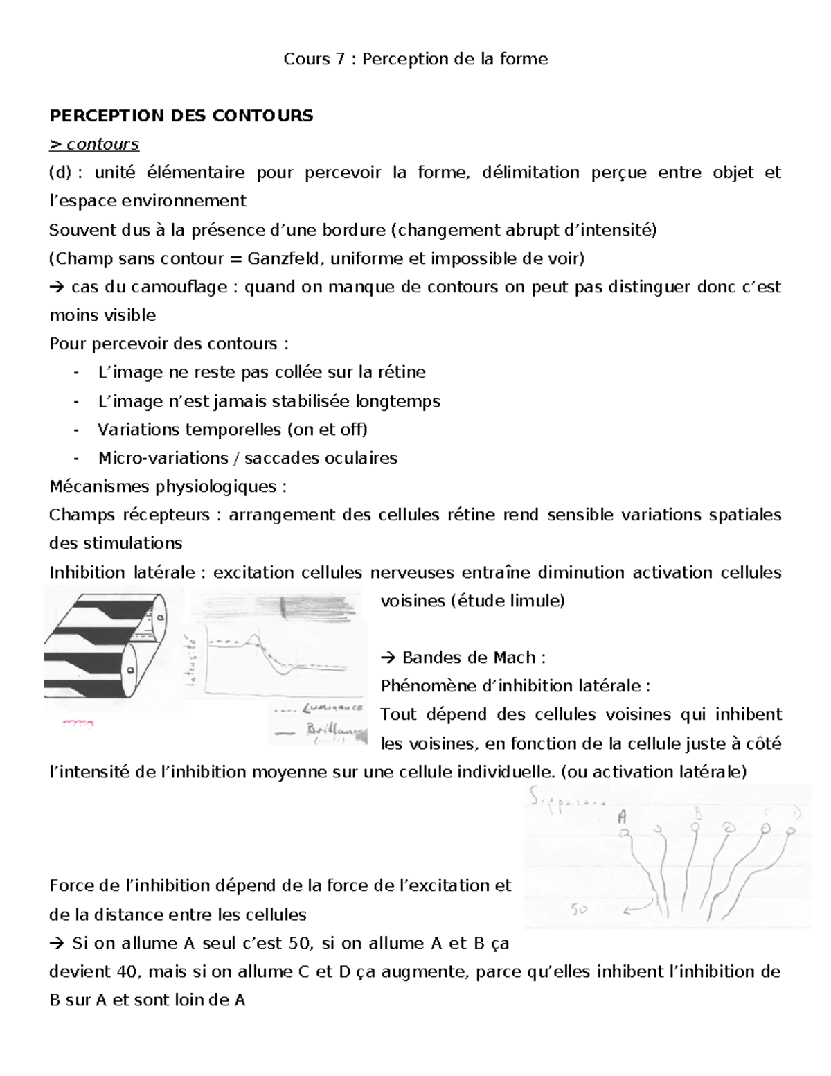 Cours 7 : Perception de la forme et des contours en psychologie - Studocu