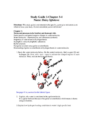 BIO 181 Ch 12 & 13 Study Guide: Cell Cycle & Meiosis Insights - Studocu