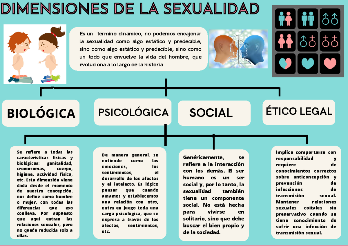 Dimensiones de la Sexualidad: Biológica, Psicológica y Social - Studocu