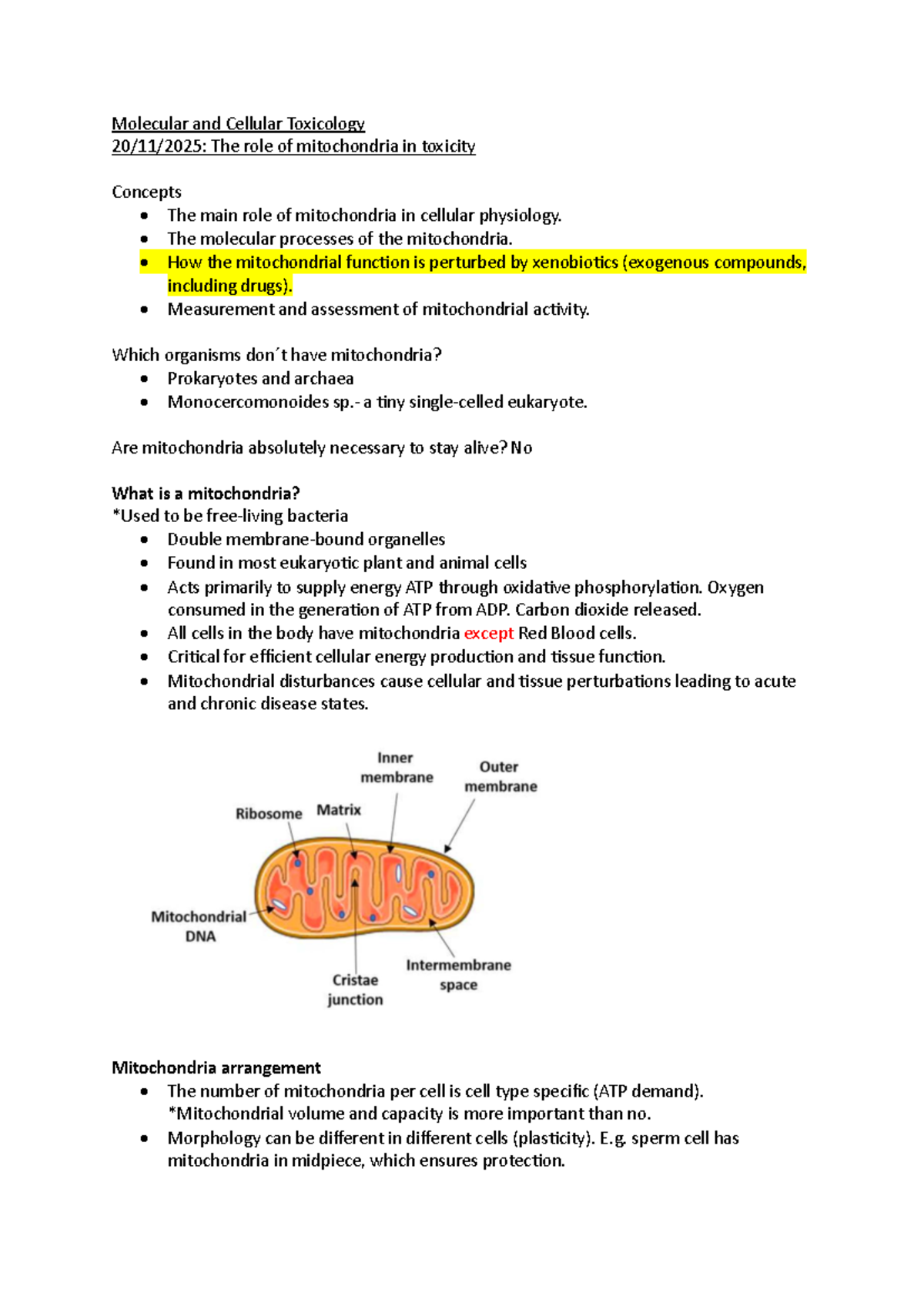 Molecular and Cellular Toxicology (MCT 401): Mitochondrial Role in ...
