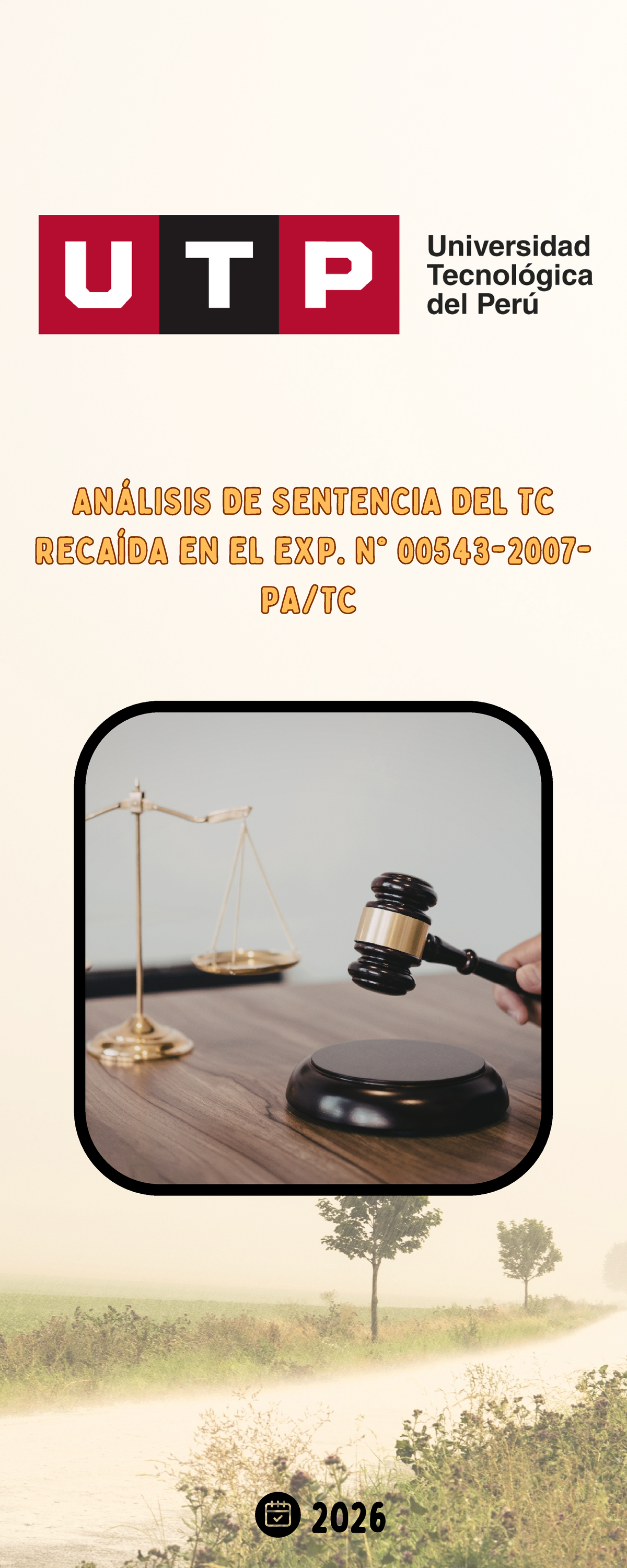 Análisis de Sentencia del TC en el Exp. N.º 2026: Infografía - Studocu