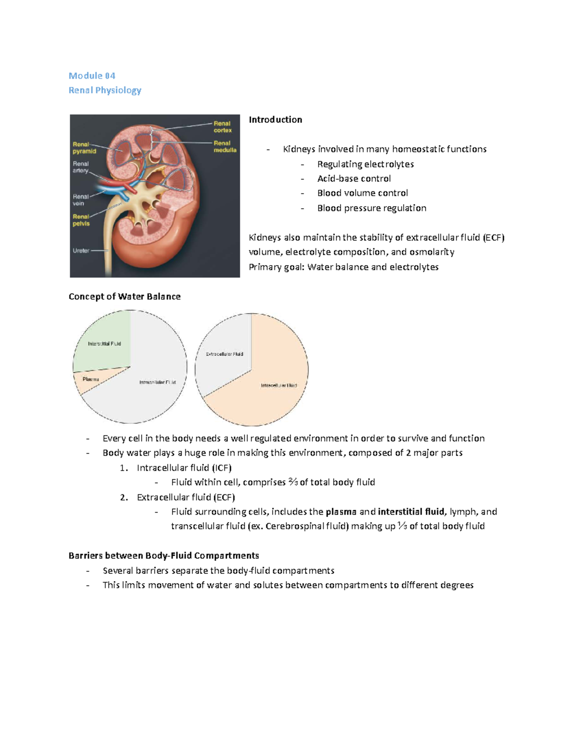 PHYG 216 Final Exam Notes: Module 04 Renal Physiology Overview - Studocu