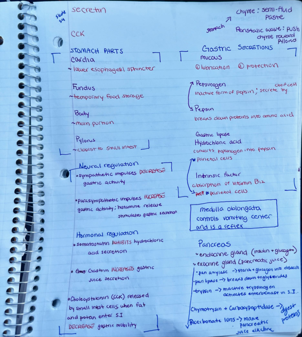 Final Exam Study Guide for Course XYZ 101: Key Concepts and Topics ...