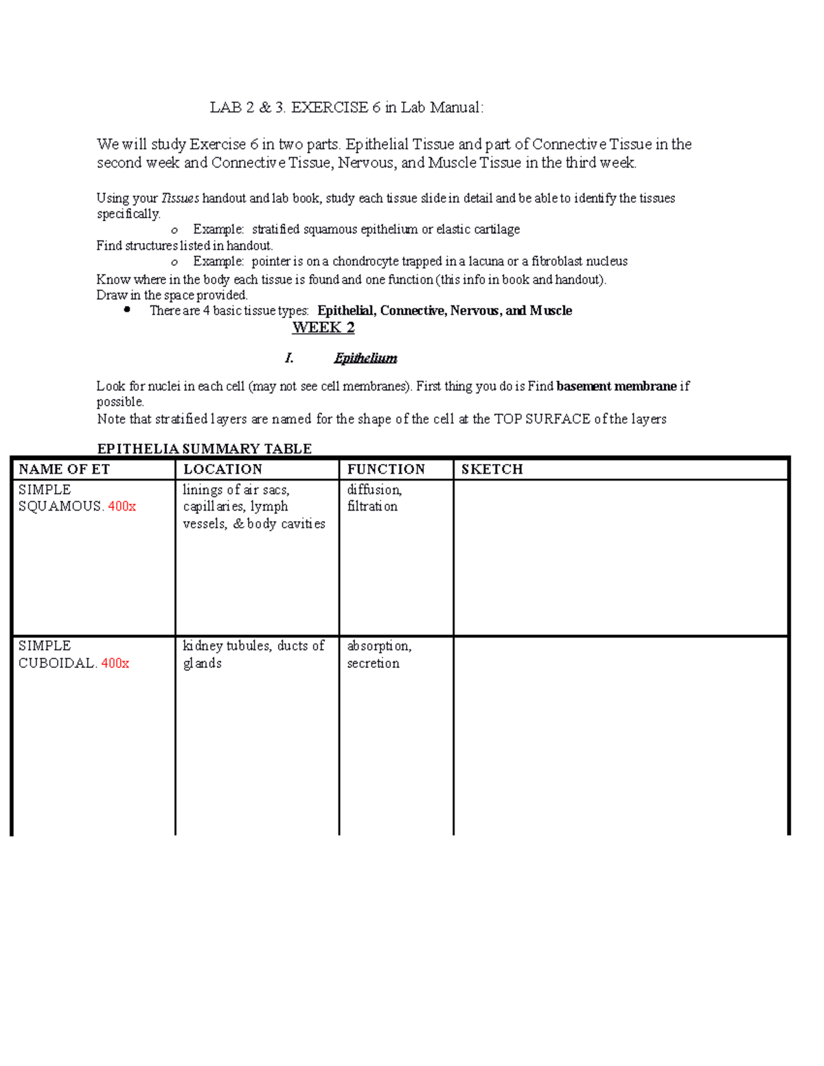 LAB 2 & 3: EX 6 - Epithelial & Connective Tissue Study Guide - Studocu
