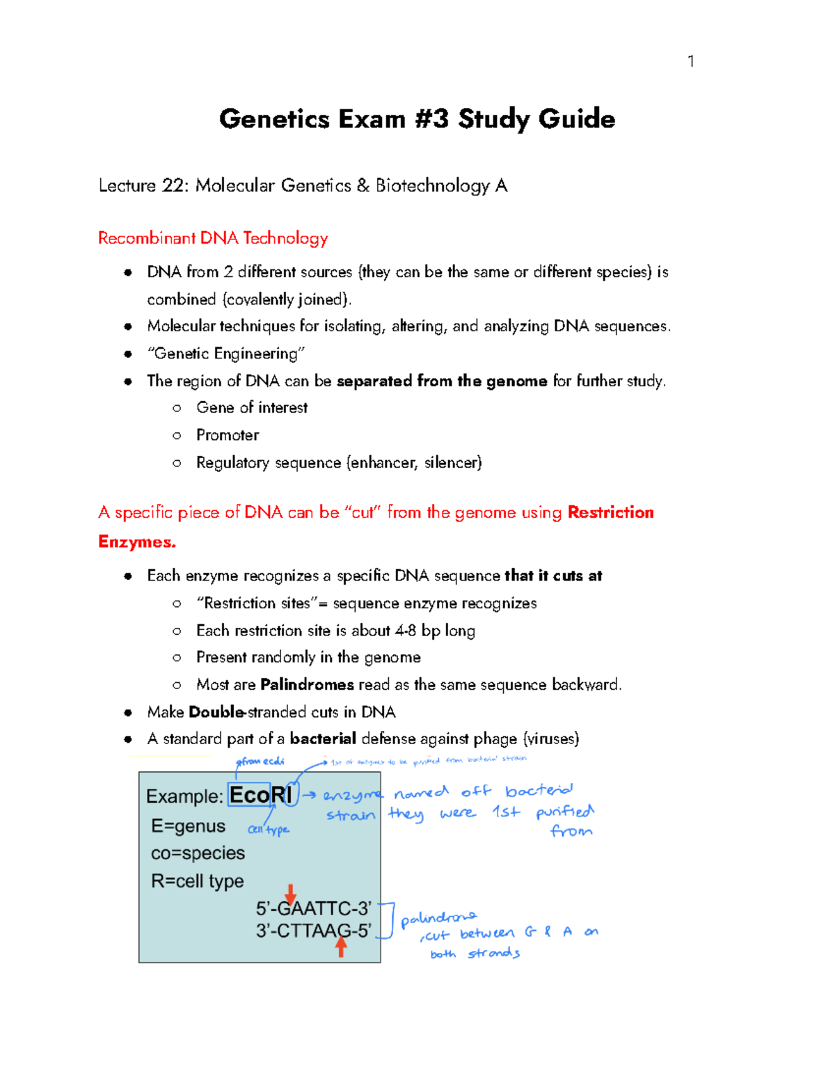 Genetics Exam #3 Study Guide: Key Topics from Lectures 22-25 - Studocu