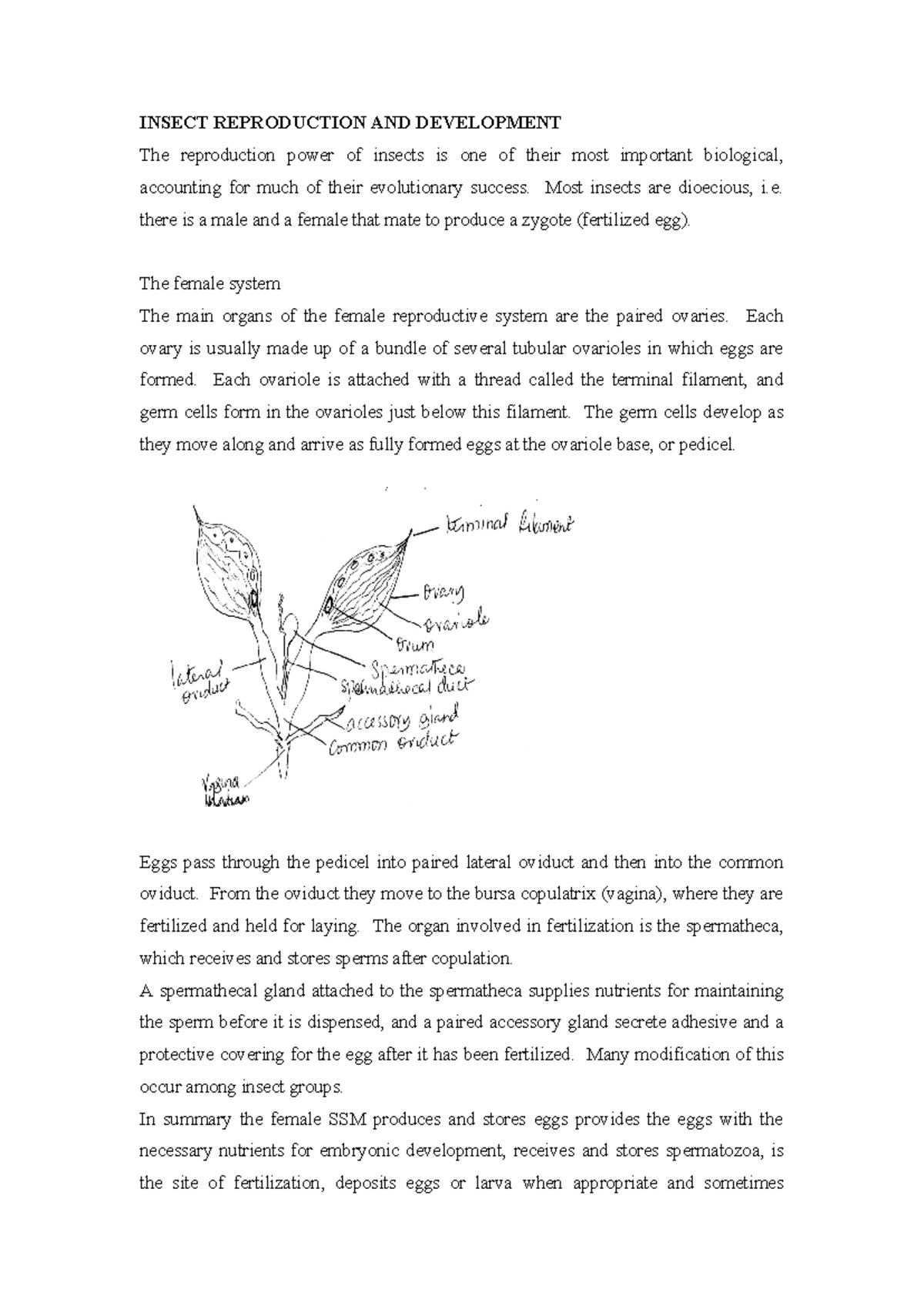 Topic 7: Insect Reproduction & Development Overview - Studocu