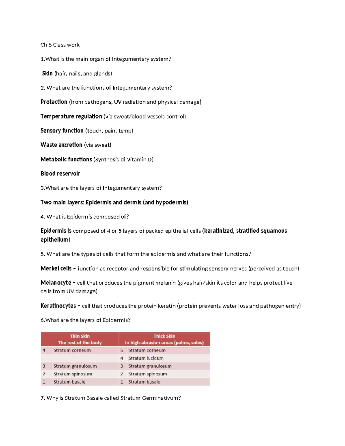 Integumentary System Overview - Ch 5 Class Work Notes - Studocu