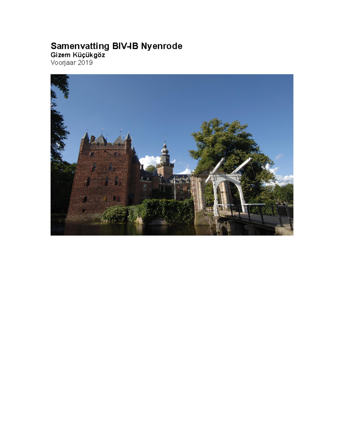 Samenvatting BIV-IB Nyenrode: Processen, Risico's en Maatregelen ...