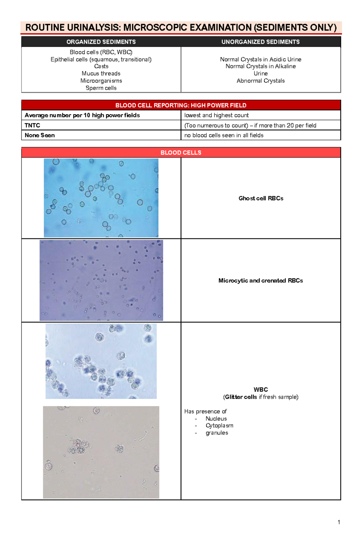 ROUTINE URINALYSIS: URINE MICROSCOPIC EXAMINATION (SEDIMENTS) - Studocu