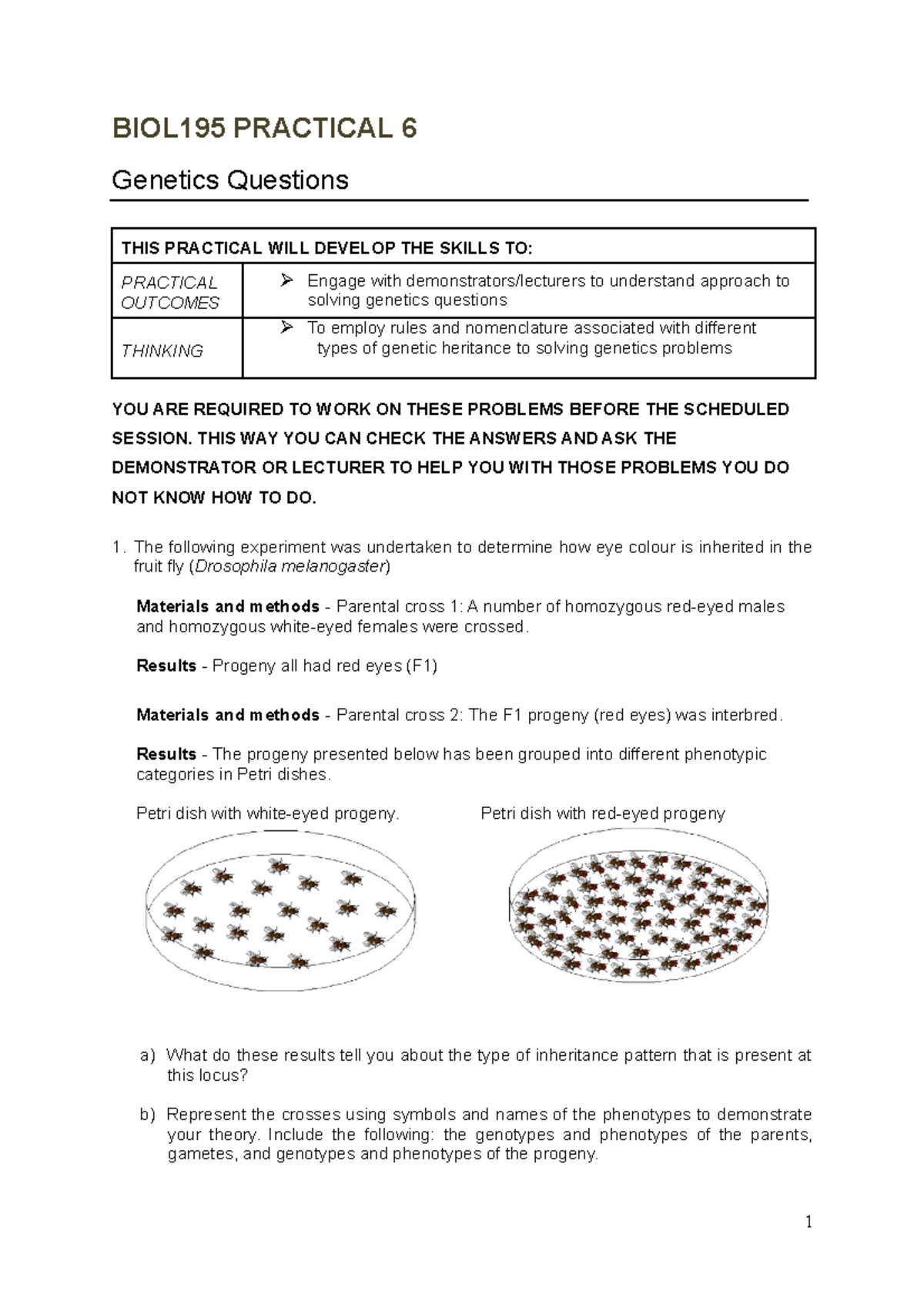 BIOL195 Practical 6: Genetics Questions and Problem Solving Notes - Studocu