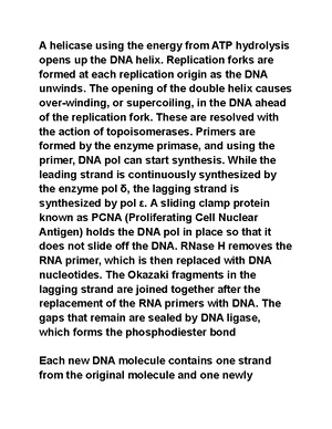 DNA Replication - Study Notes & Assignments - Studocu