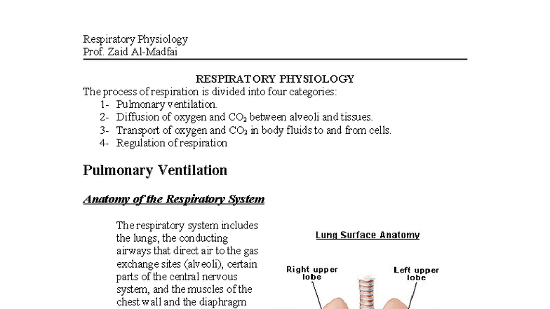 Respiratory Physiology Lecture Notes - Prof. Zaid - Studocu