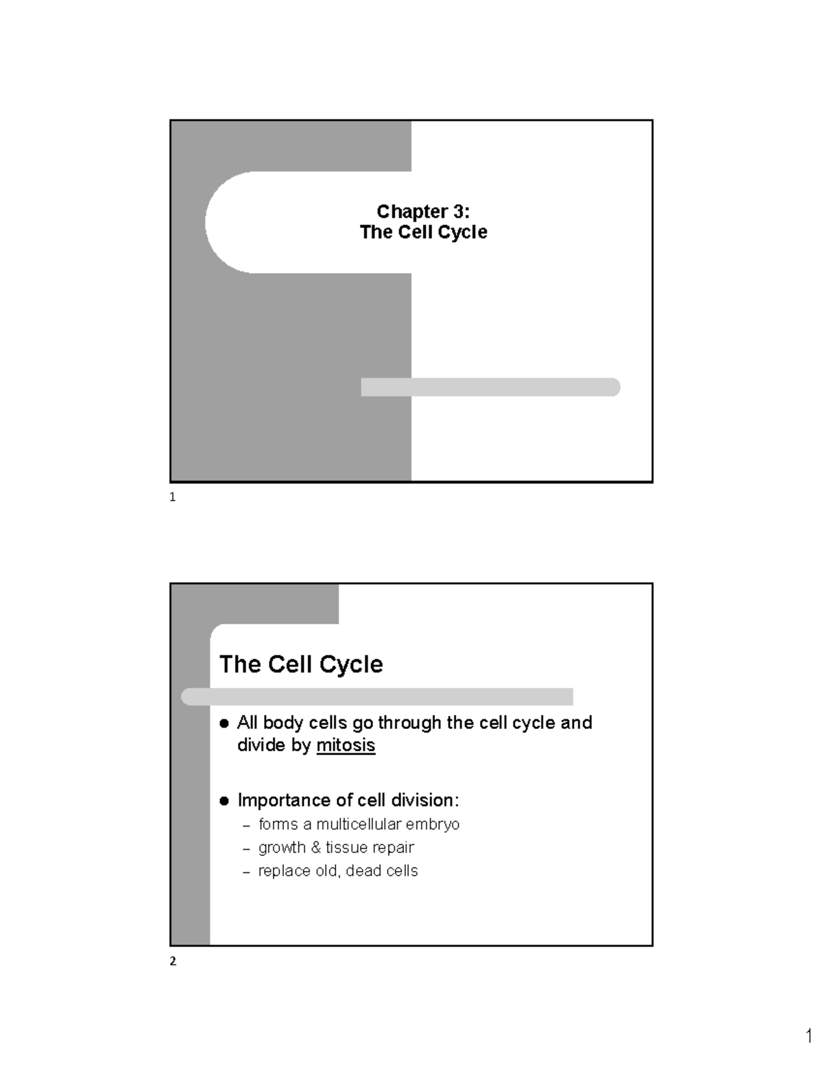 Chapter 3 & 17: Overview of Cell Cycle, Mitosis, and Meiosis - Studocu