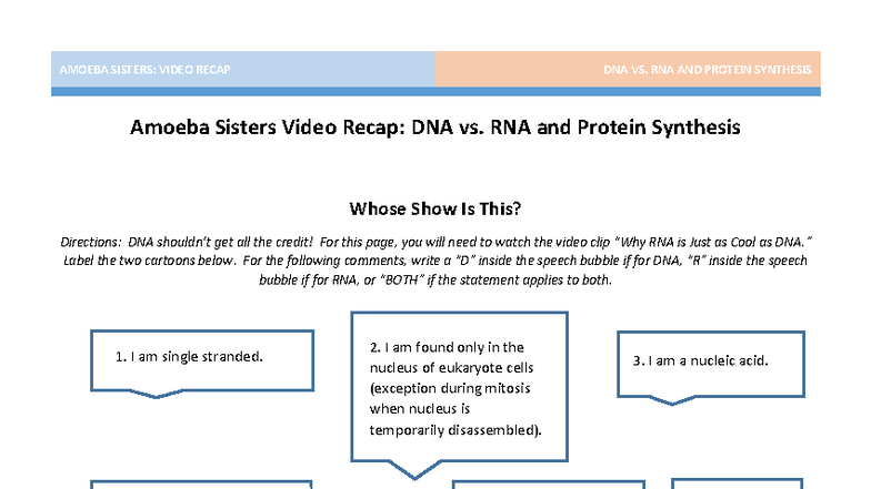 AMOEBA SISTERS: DNA vs. RNA & Protein Synthesis Recap - Studocu