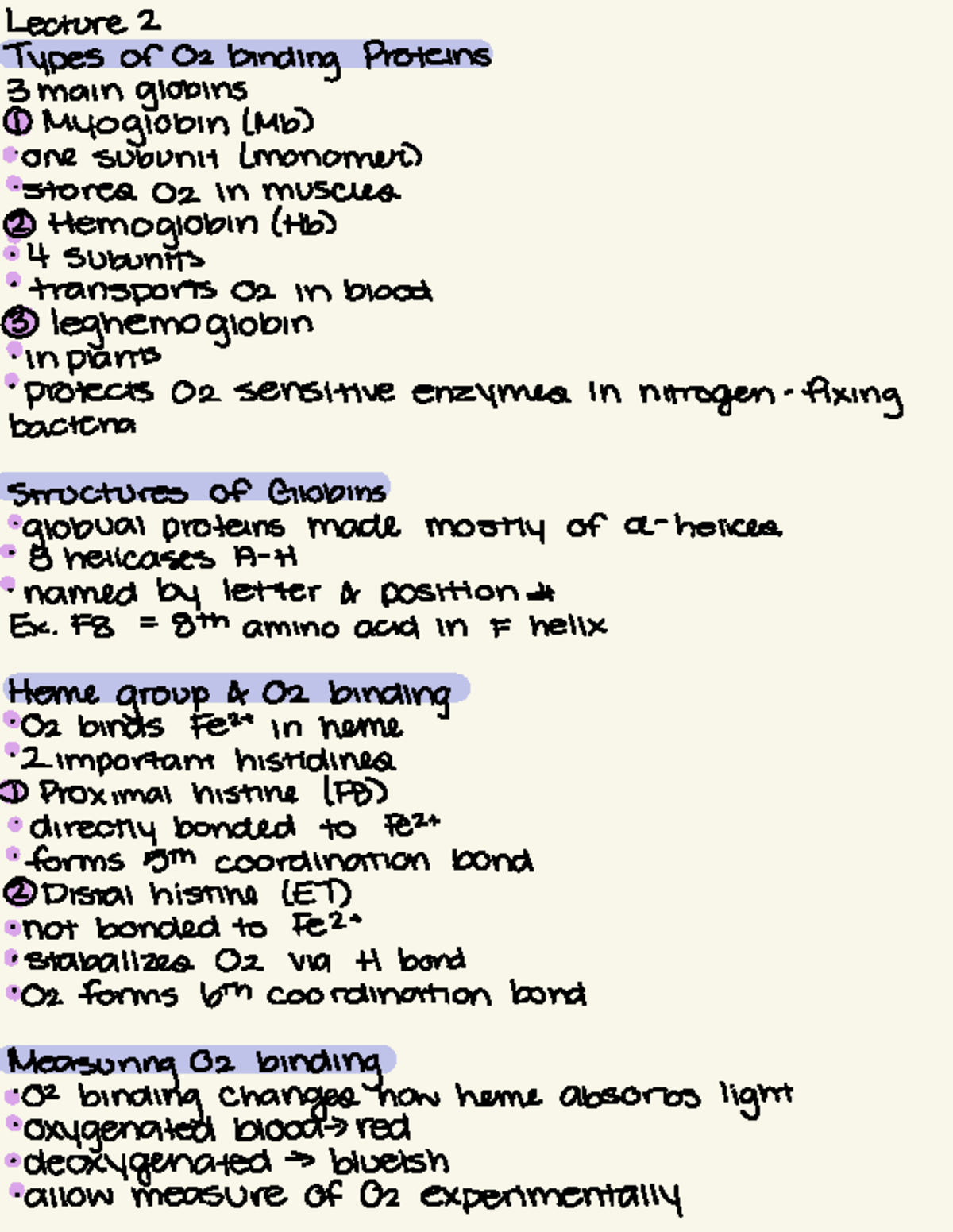 Lecture 2 Summary: Types of O2 Binding Proteins and Globins - Studocu