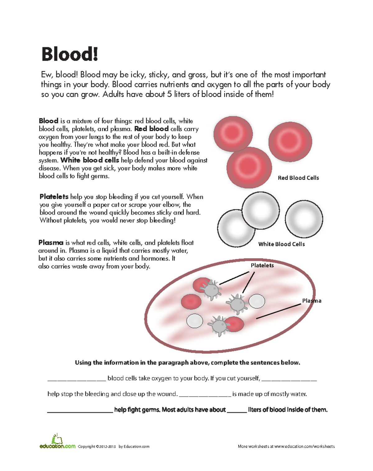 Blood - Lesson Plan for Understanding Circulation and Functions - Studocu