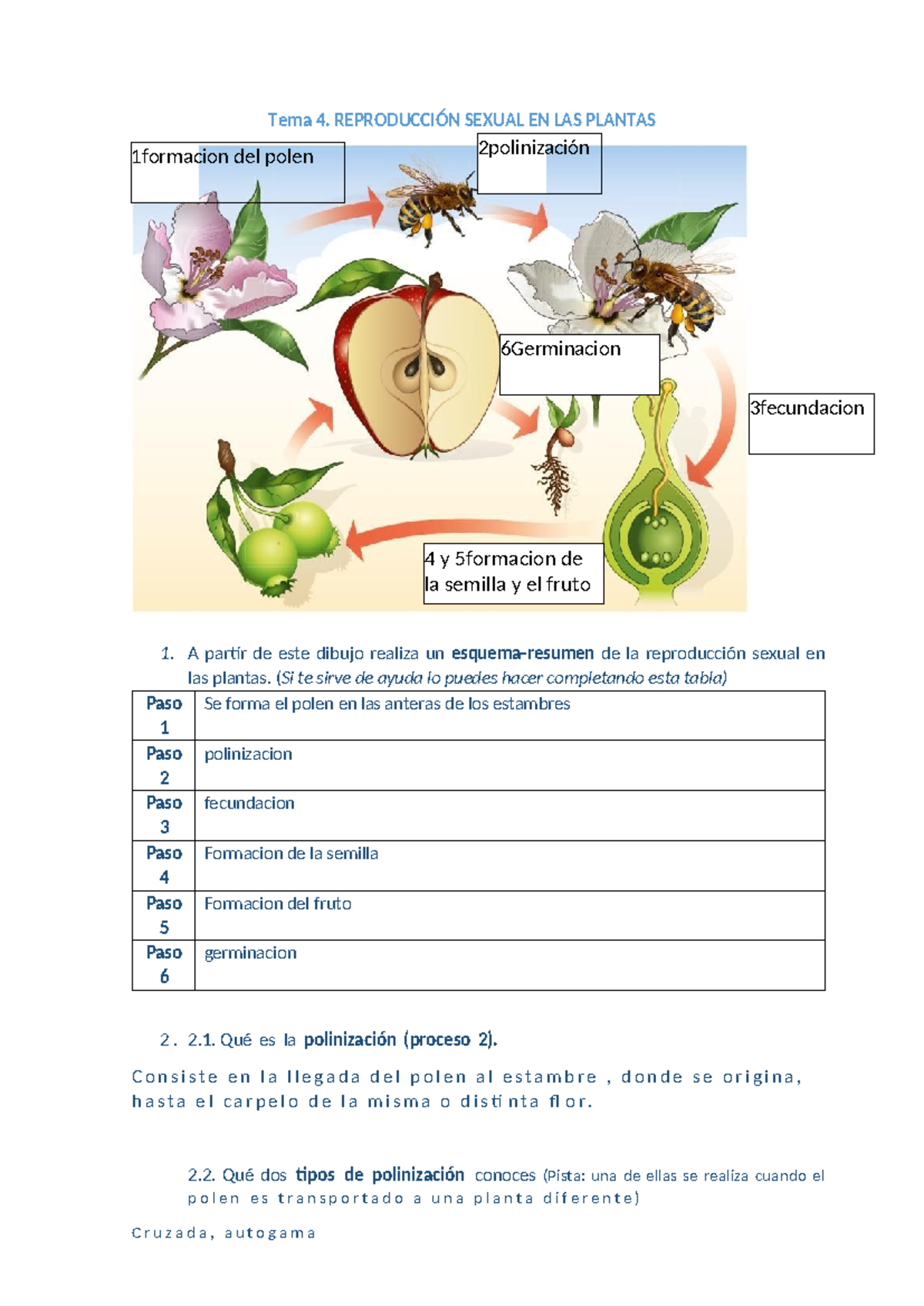 Ejercicios y soluciones sobre Moneras, Protoctistas y Hongos - 1 ESO -  Studocu