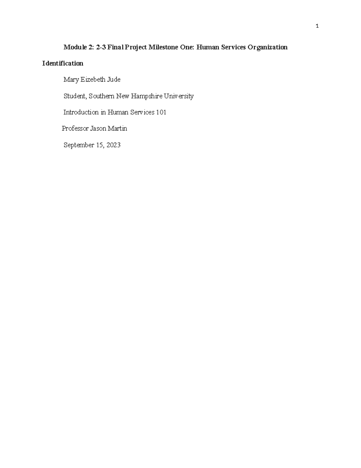 HUS 101 Module 2-3 Final Project: Identifying Human Services ...