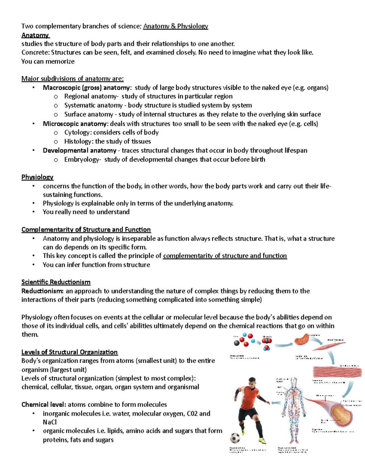 ANP 1105 Midterm - notes - Two complementary branches of science ...