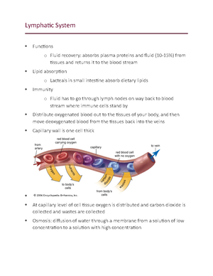 Cardio review guide - Summary Human Anatomy and Physiology II ...