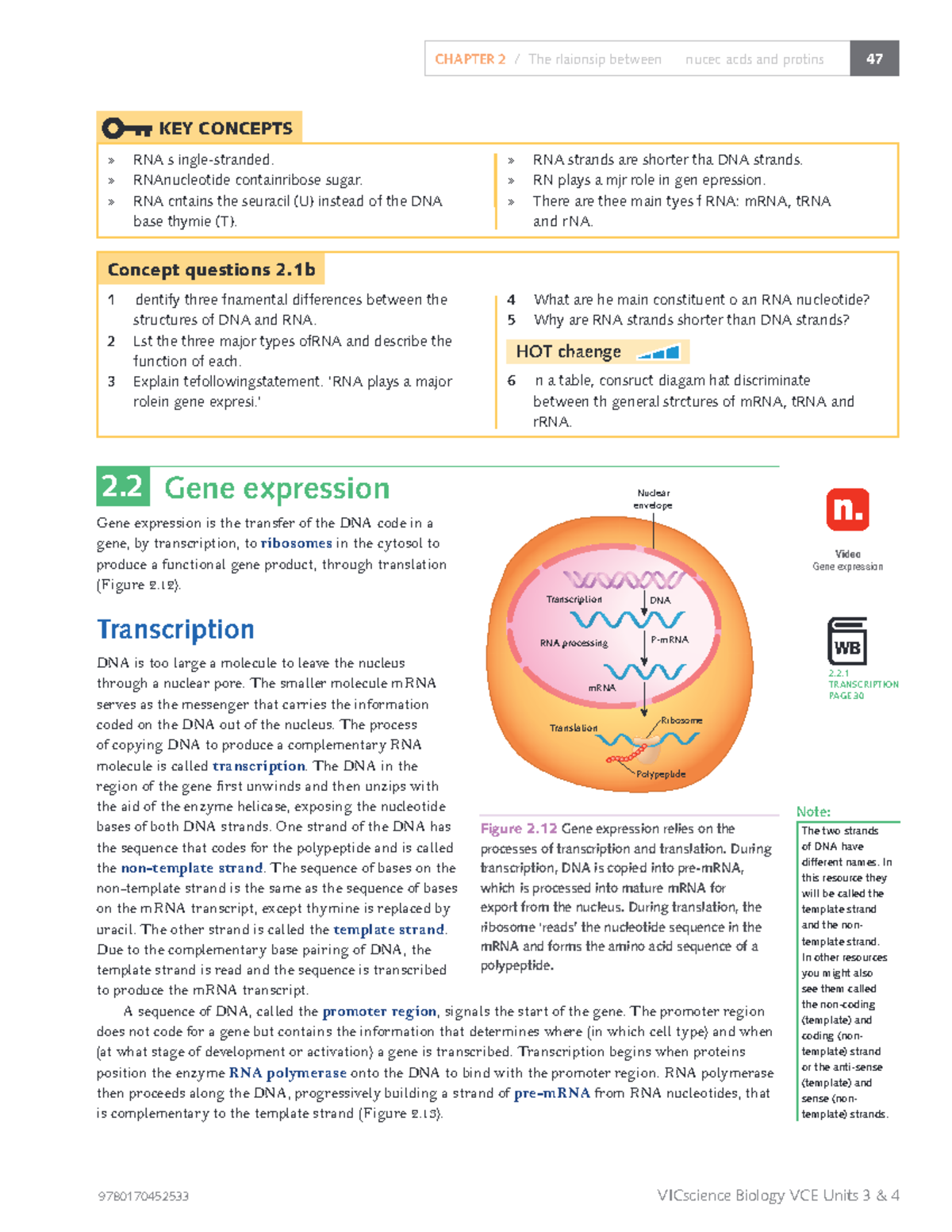 Bio VCE Units 3 & 4: Chapter 2 - RNA, DNA, and Protein Synthesis - Studocu