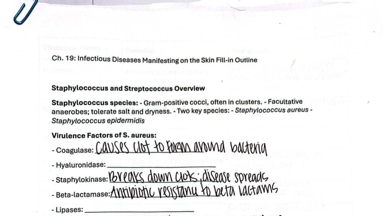 Ch. 19: Overview of Skin Manifesting Infectious Diseases - Studocu