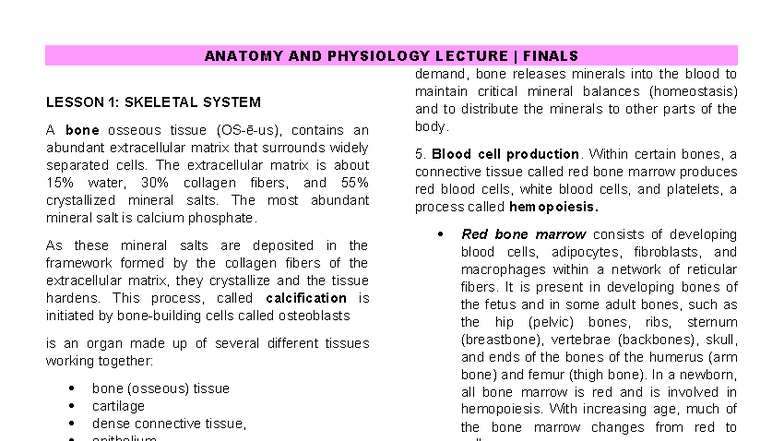 ANATOMY AND PHYSIOLOGY LEC - FINAL EXAM NOTES: SKELETAL SYSTEM - Studocu