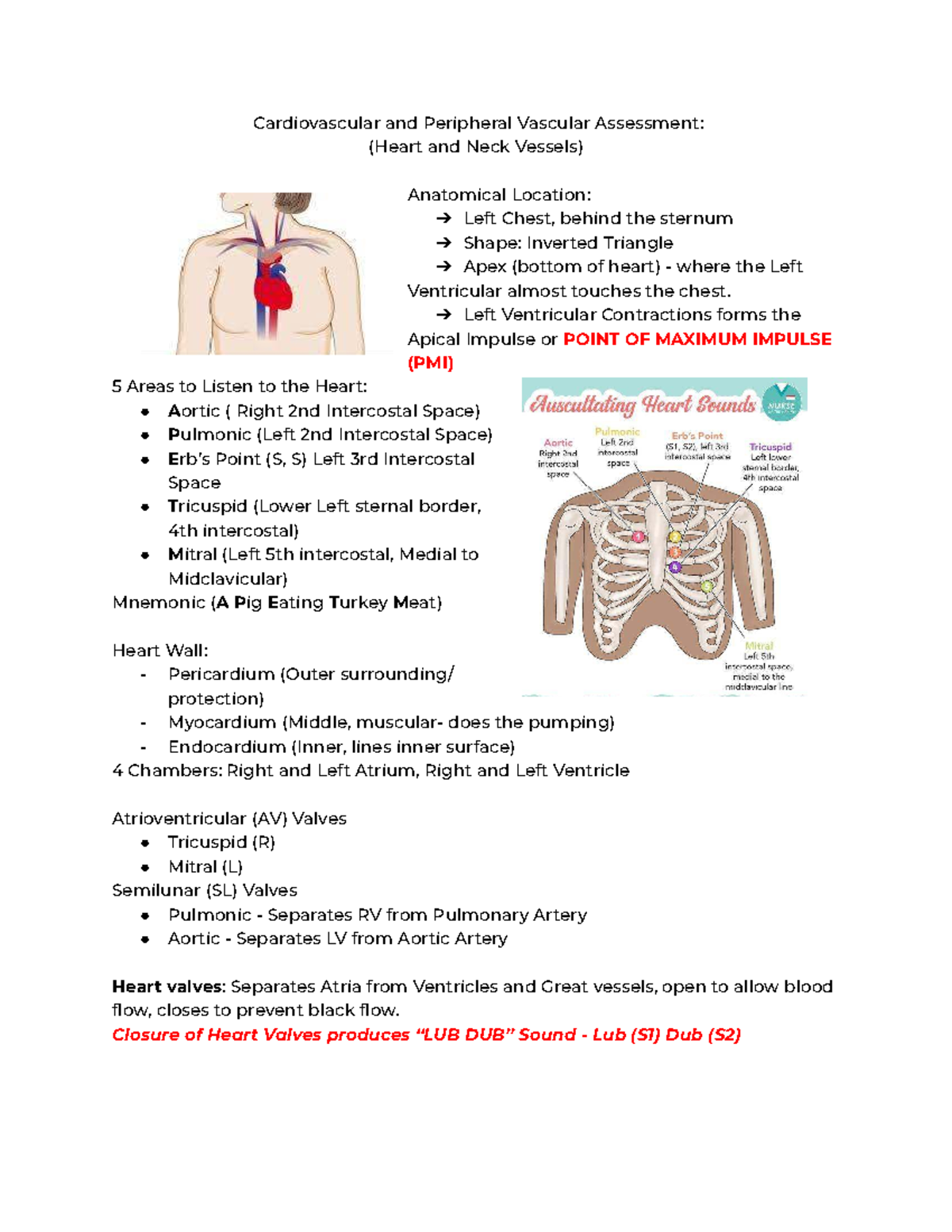 Heart and Neck Vessels Health Assessment: Cardiovascular Insights - Studocu