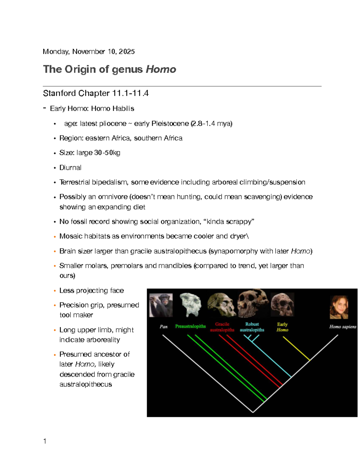 Stanford Chapter 11: The Origin of Genus Homo - Studocu