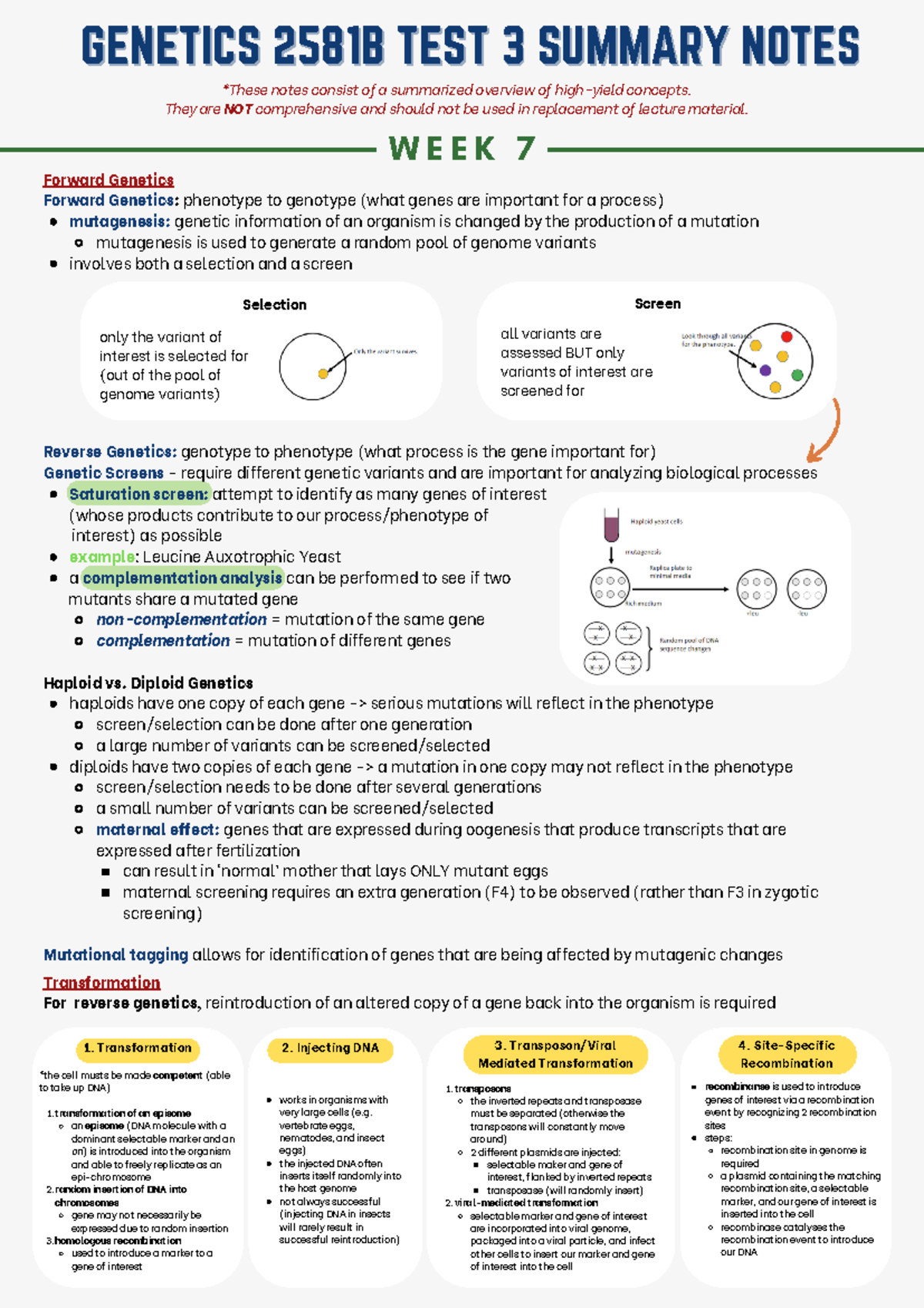 Test 3 Summary Notes - Forward Genetics Forward Genetics: phenotype to ...