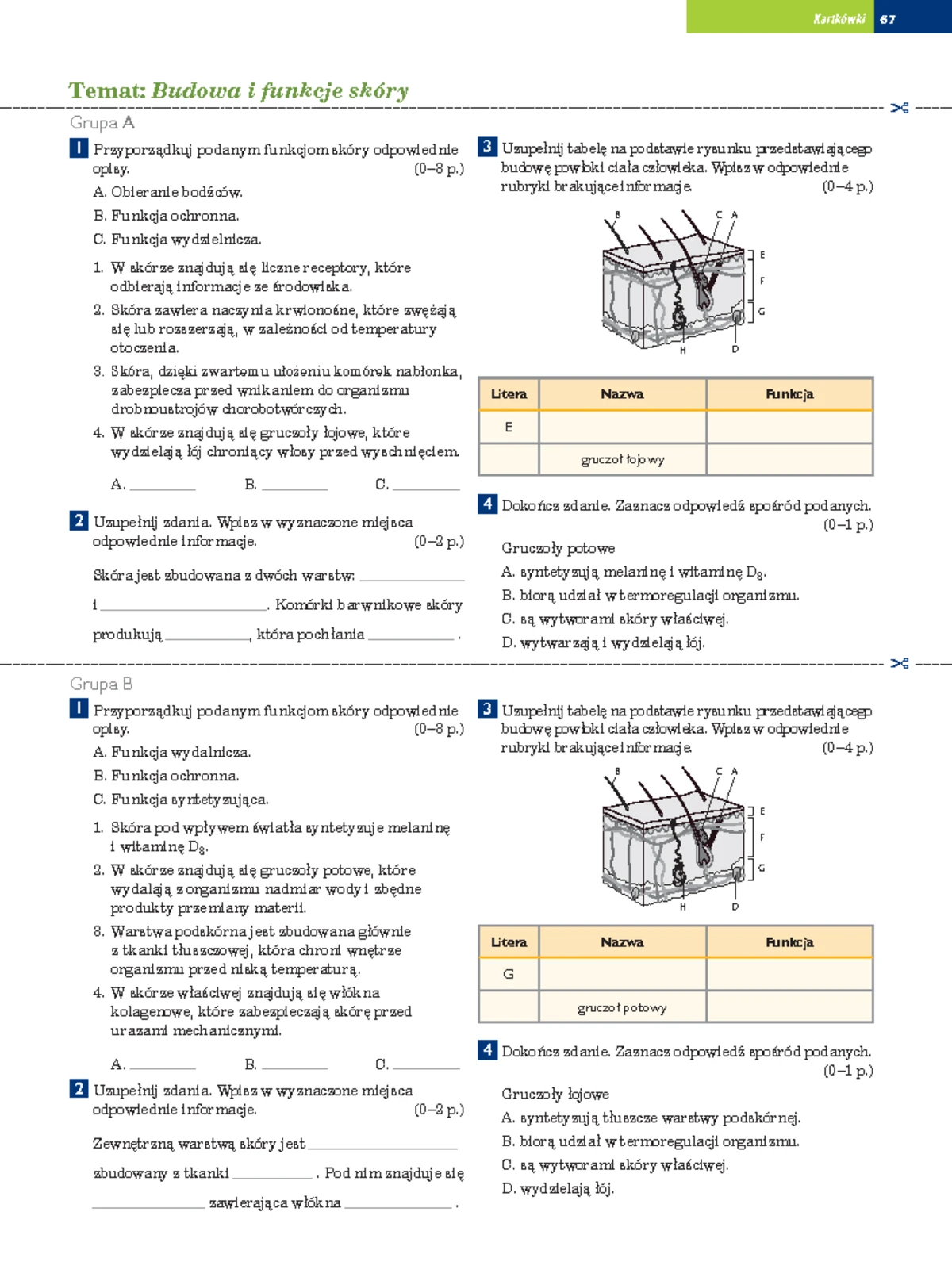 Funkcje Sprawdzian Liceum Nowa Era www.studocu.com