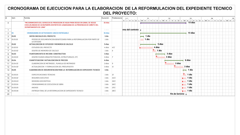Cronograma de Actividades para la Reformulación del Proyecto Chiclin ...