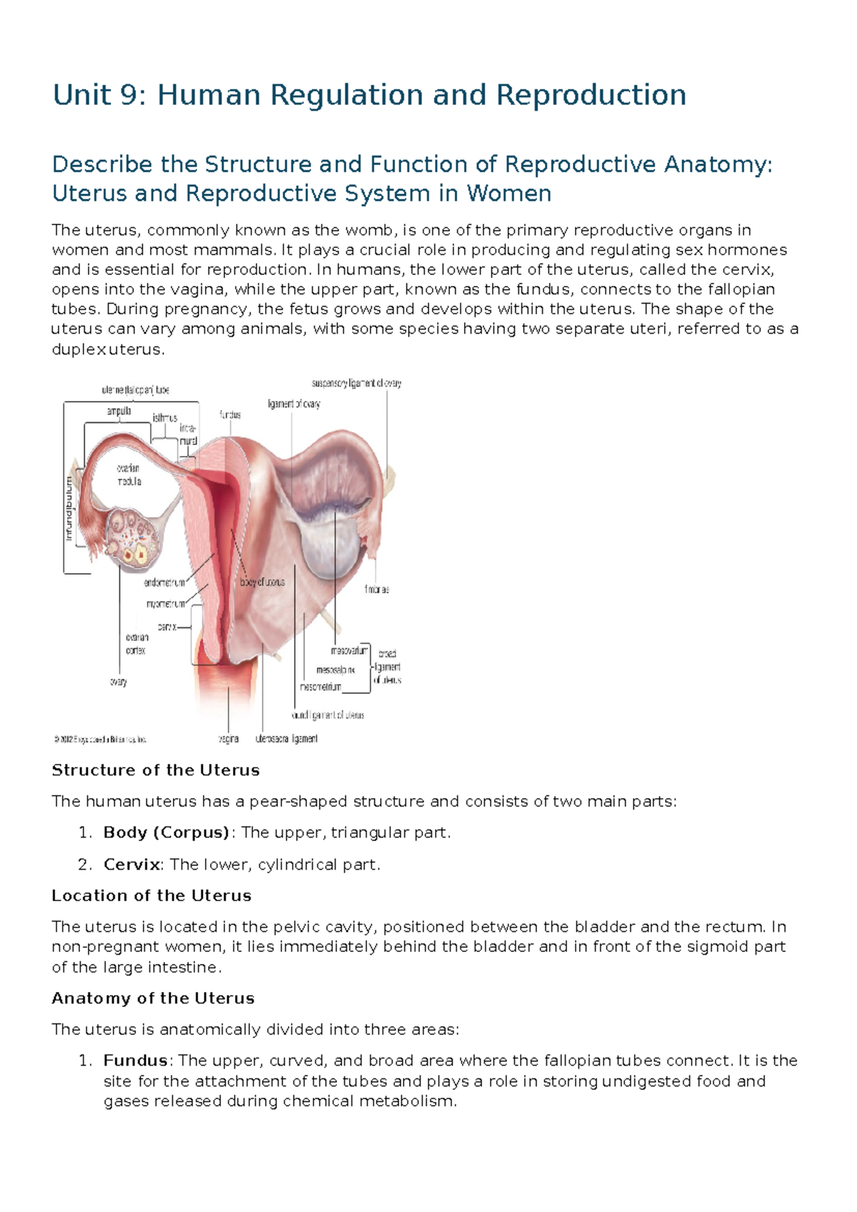 Human Regulation And Reproduction