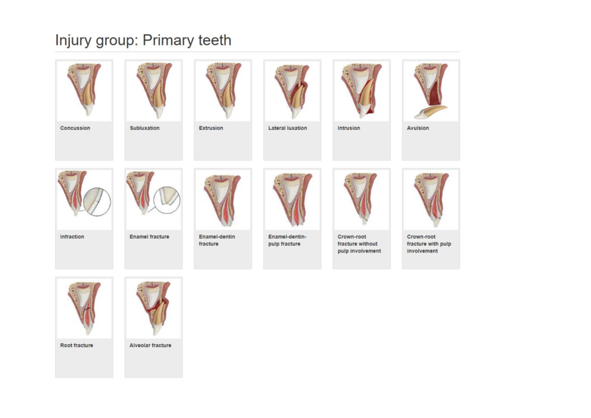 Dental Trauma Guide - EHBT document - Casuïstiek - Injury group ...