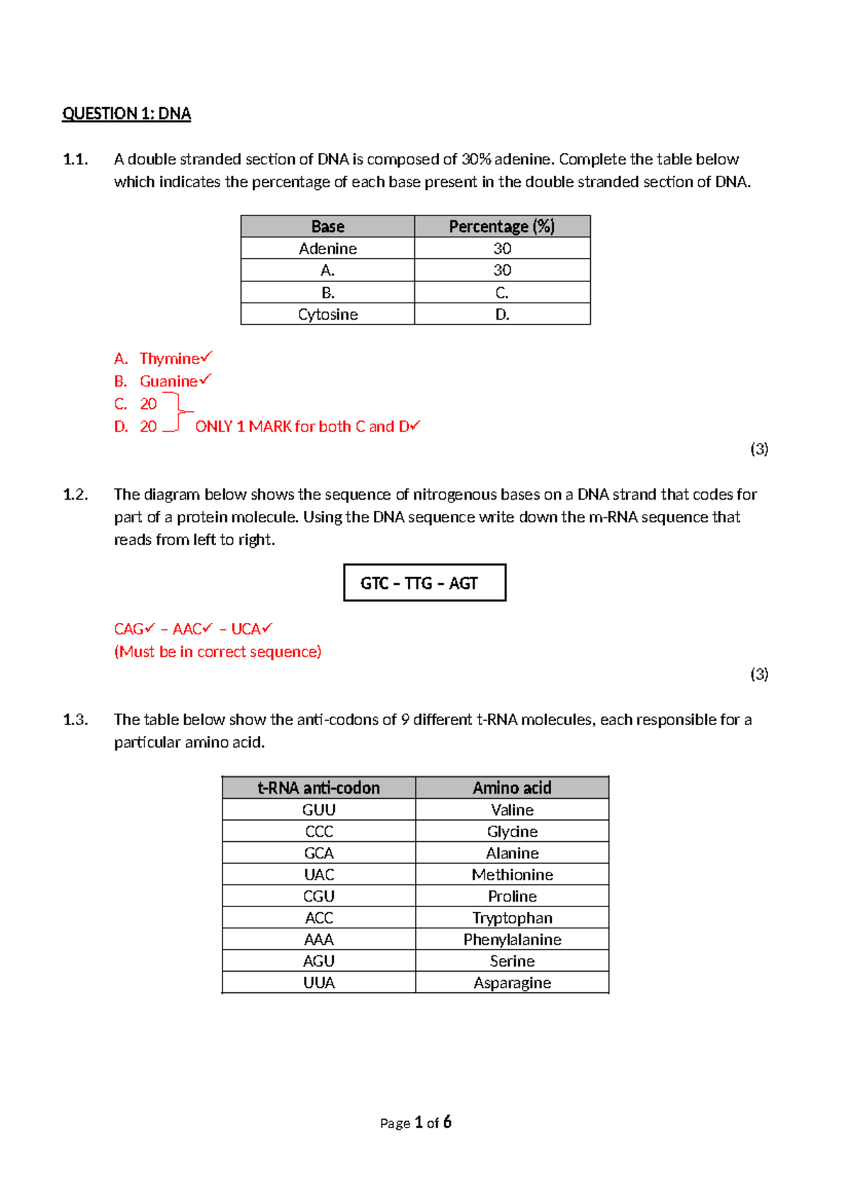 Grade 12 Life Science Practical: DNA Structure & Meiosis Analysis - Studocu