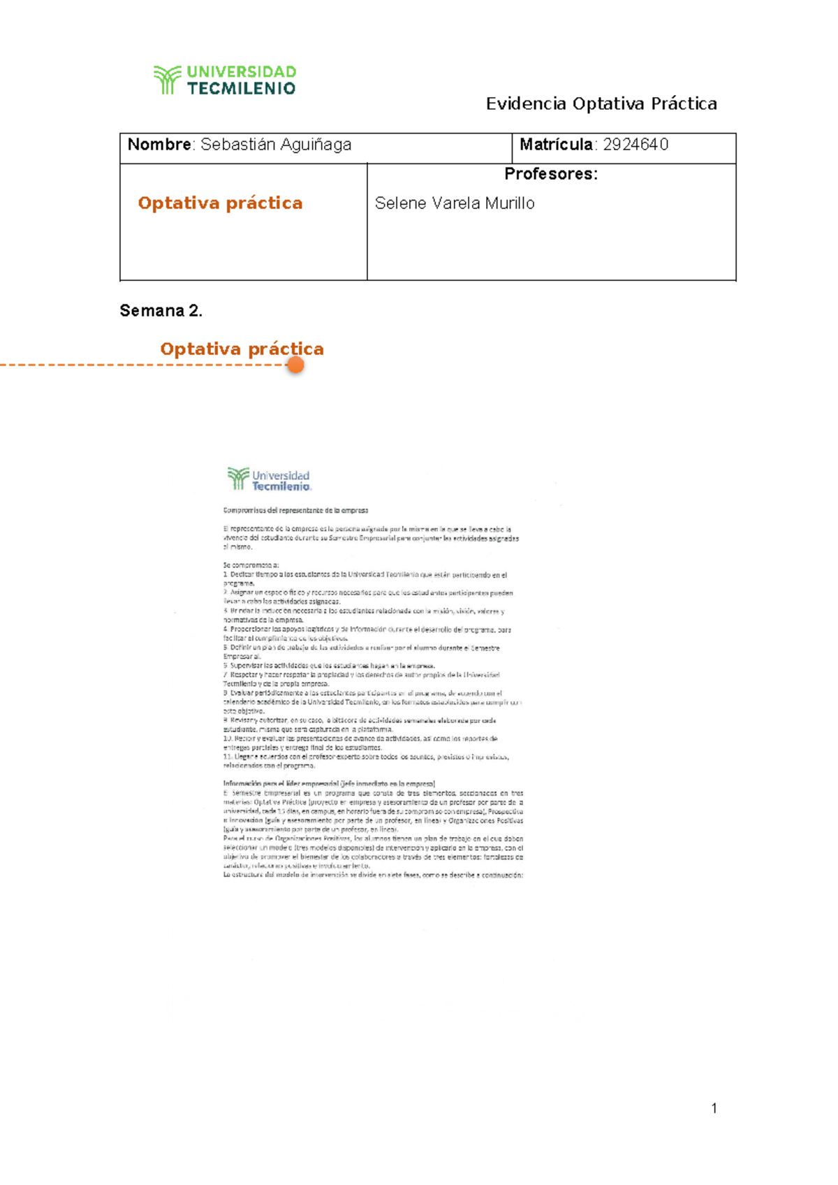 Evidencia Integral de la Optativa Práctica Semestre Empresarial 1,7 ...