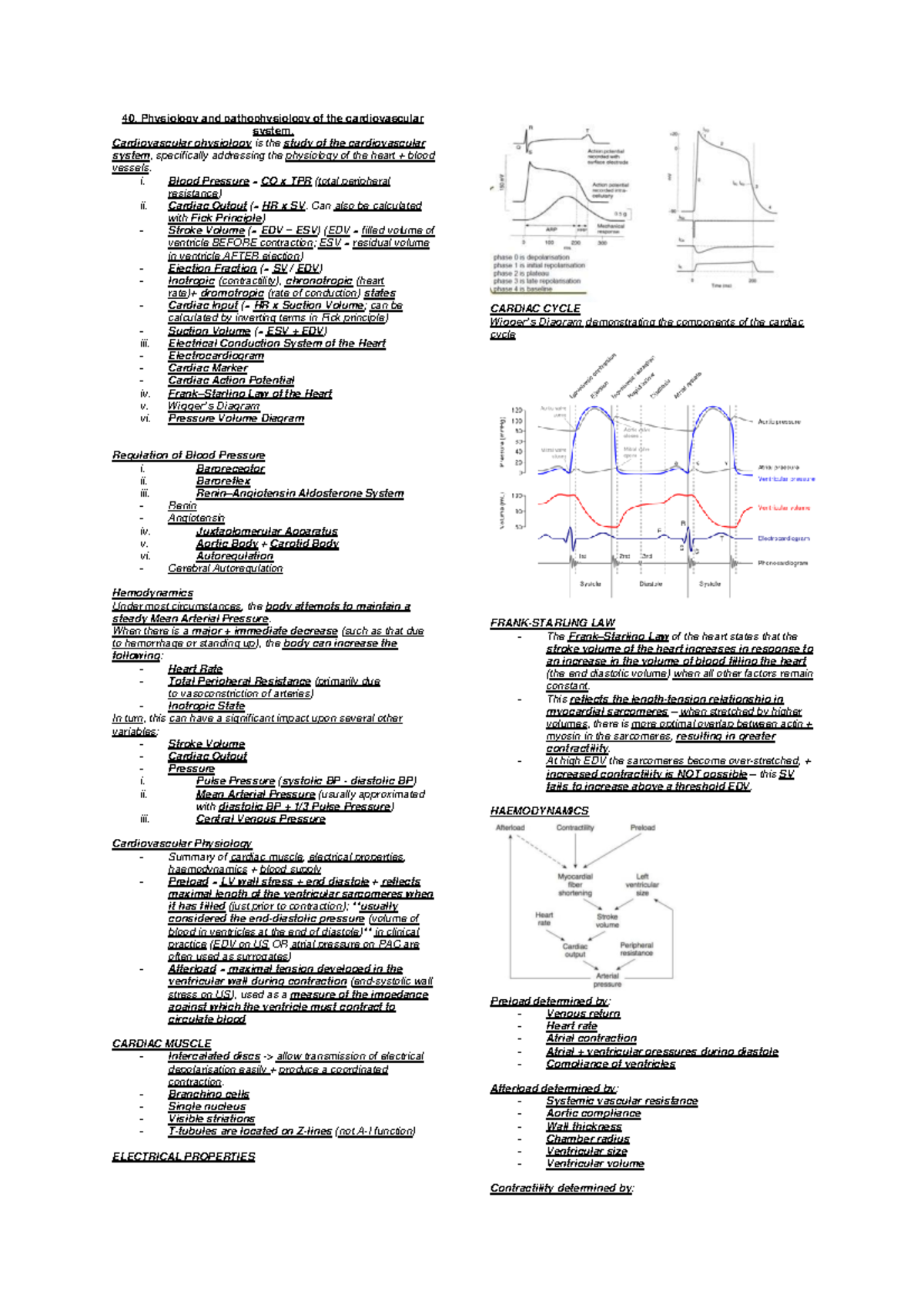 Cardio PHYS 101: Comprehensive Notes on Cardiovascular Physiology - Studocu