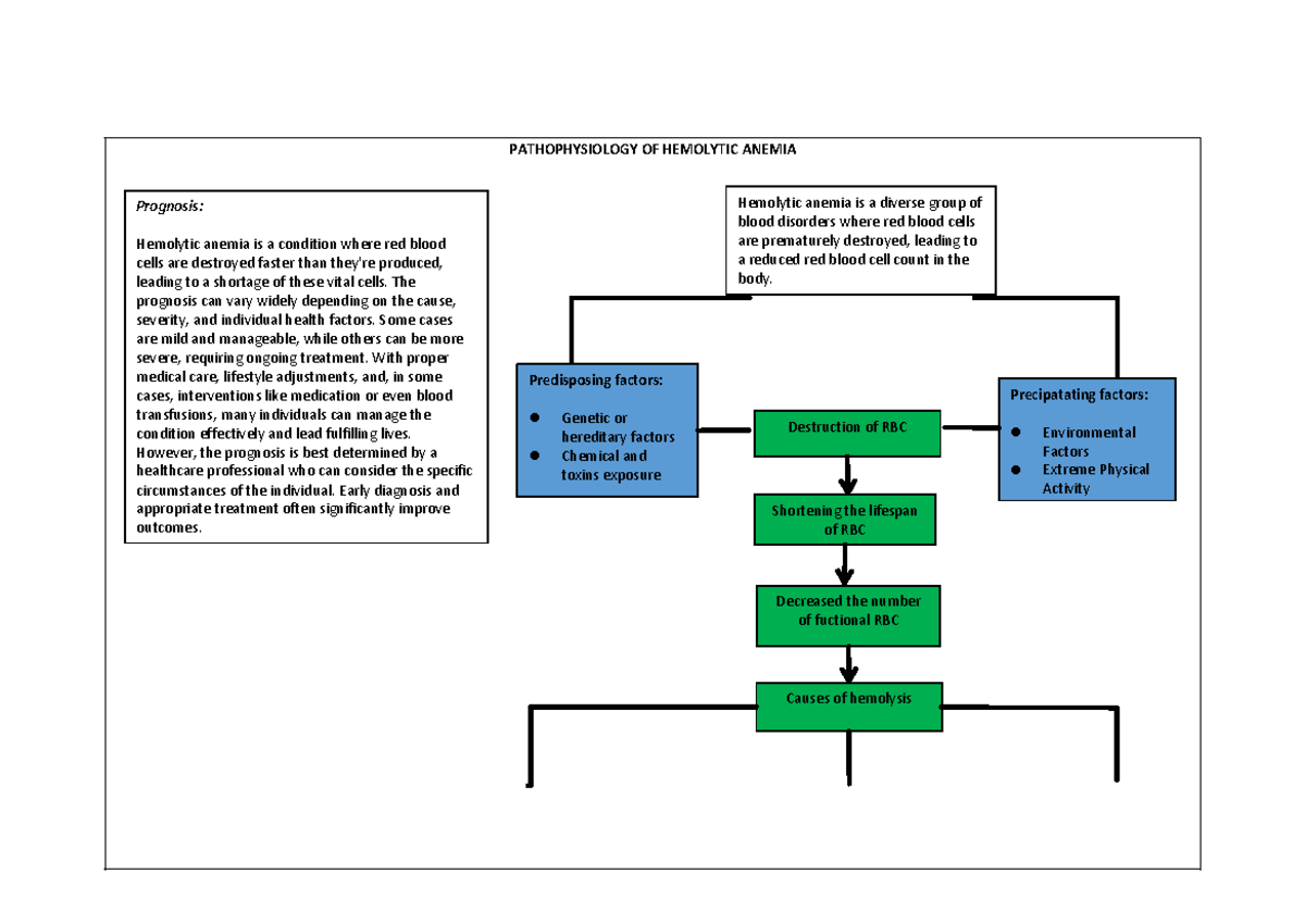 Pathophysiology-HEMO - PATHOPHYSIOLOGY OF HEMOLYTIC ANEMIA Prognosis ...
