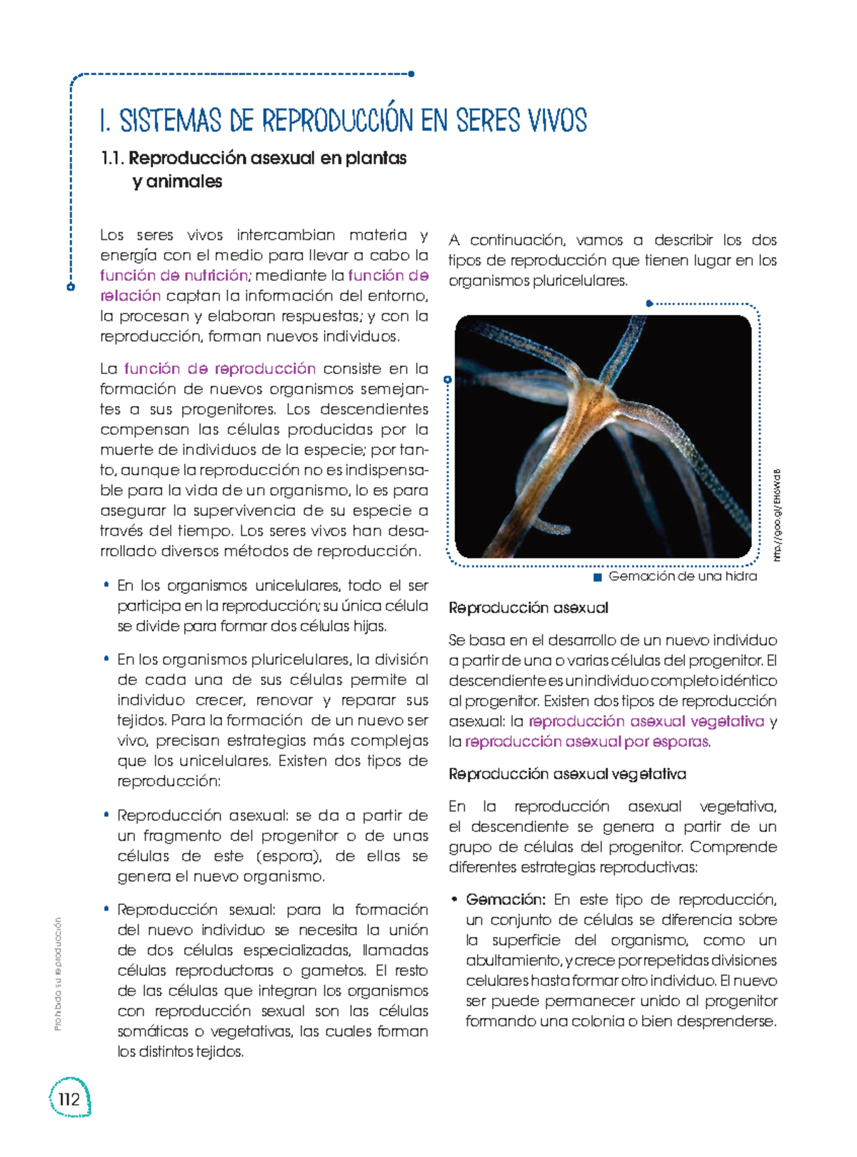 Sistemas de Reproducción en Seres Vivos: Asexual y Sexual (Biología 101 ...