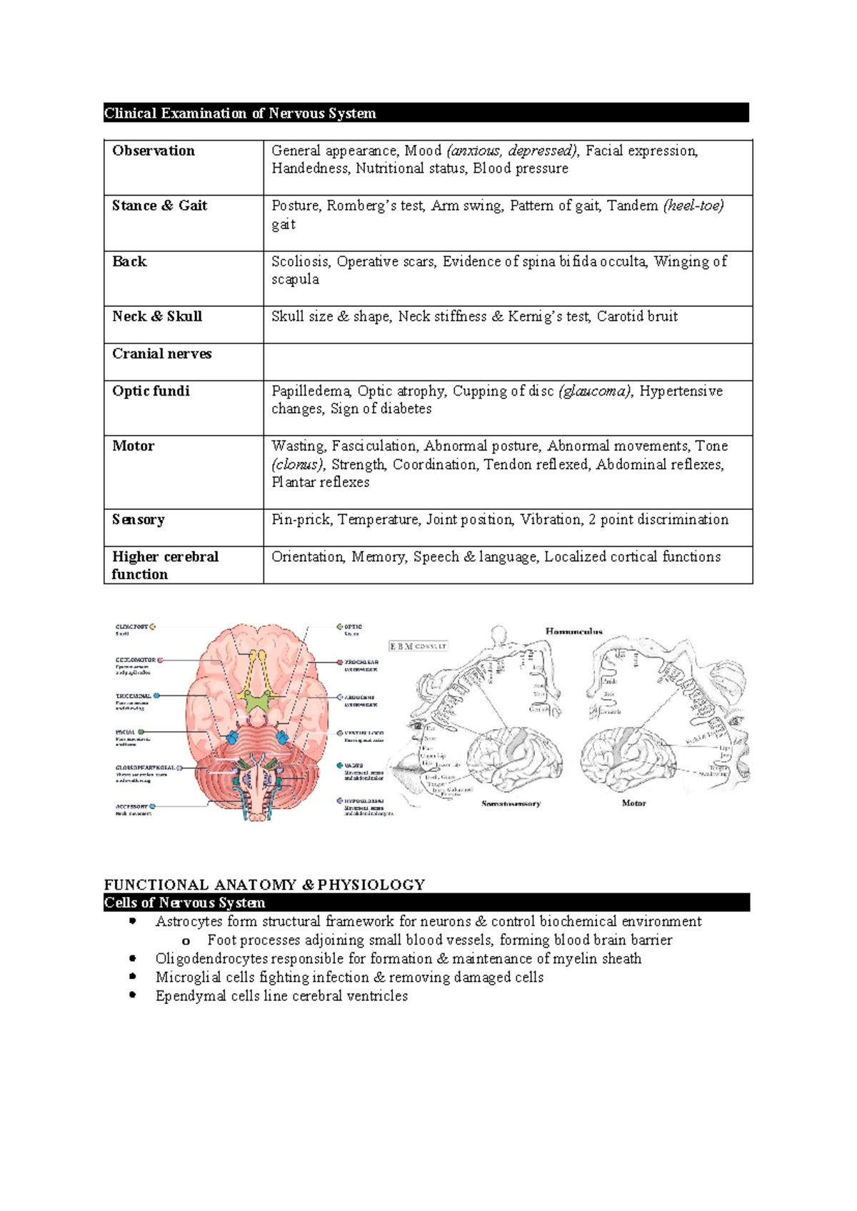Clinical Examination of the Nervous System - NEURO 101 Notes - Studocu