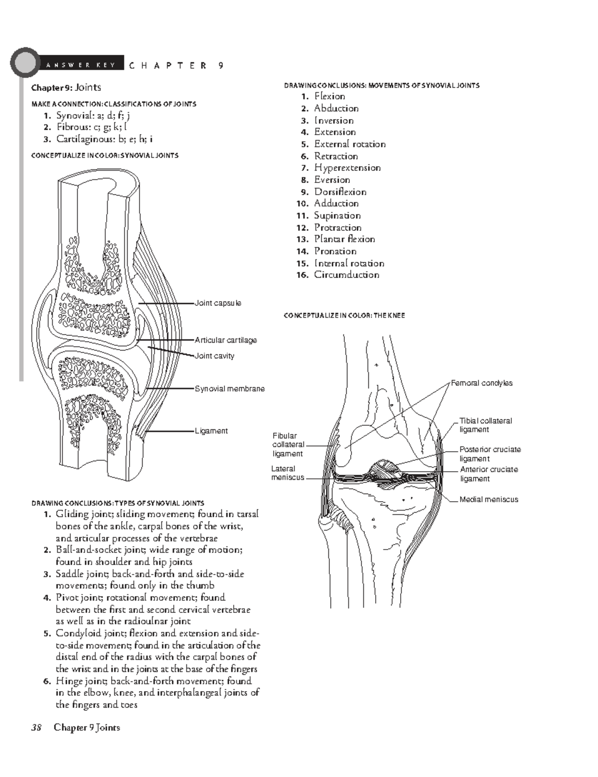 Answer Key for Chapter 9: Joints in Biology 101 - Studocu