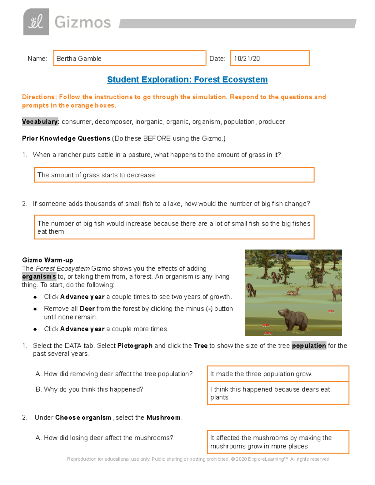 FULL Assignment Forest Ecosystem - Name: Bertha Gamble Date: 10/21 ...