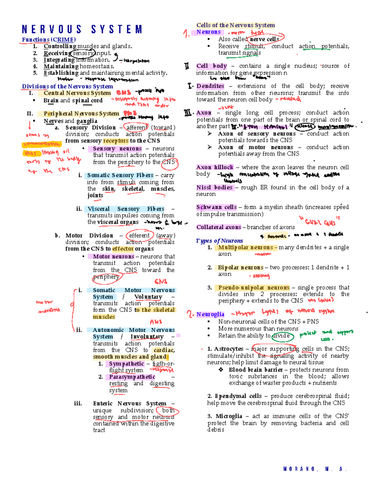 8-Nervous-System - some notes from anaphy - N e r v o u s S y s t e m ...