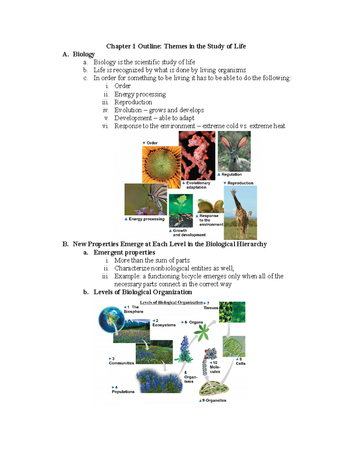 Chapter 1 Outline - Themes in the Study of Life - BIOL 1201 LiCata ...
