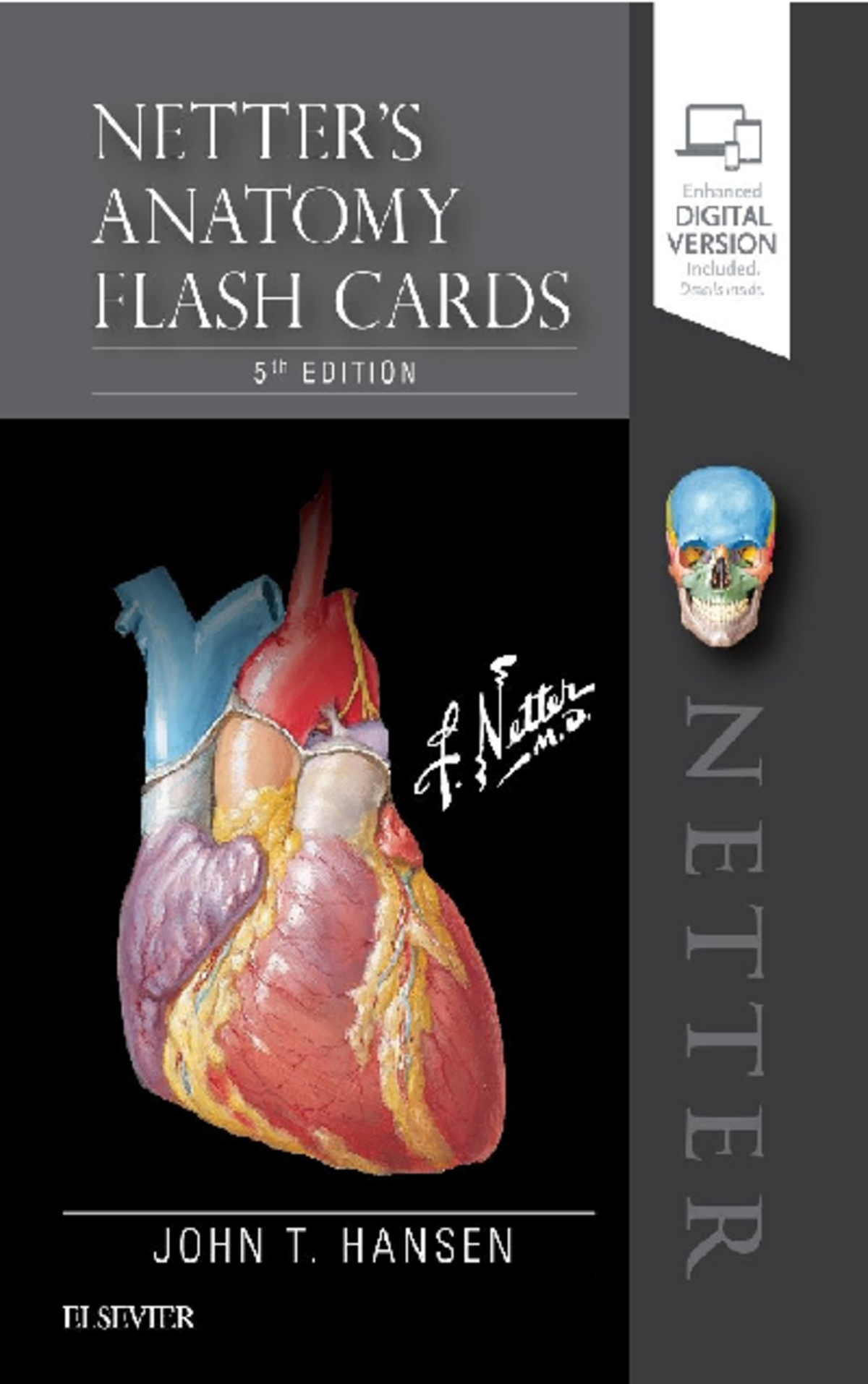 Netter Anatomy Flash Cards 5th Edition - Essential Study Guide - Document Preview
