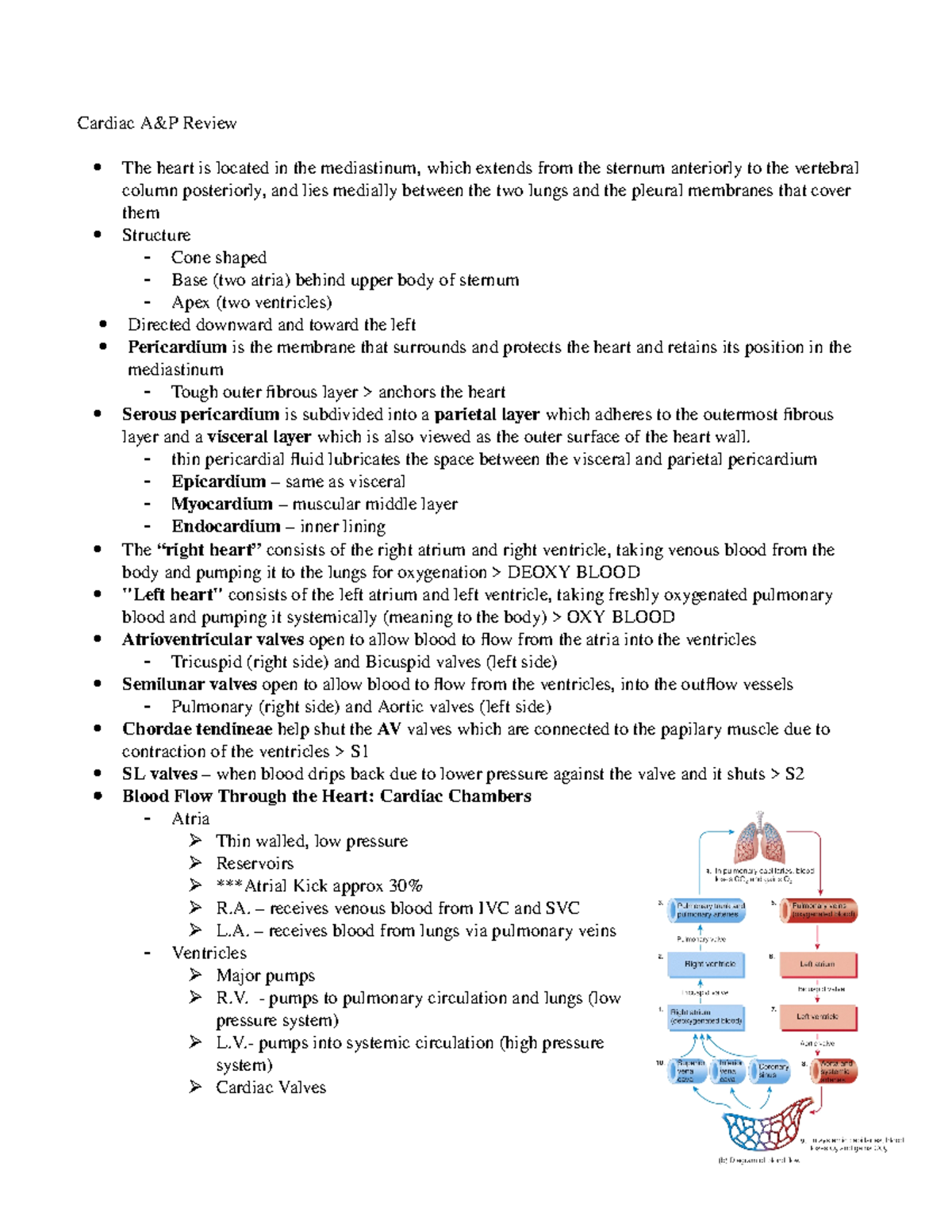 Cushing Syndrome Pathophysiology Calgary Guide