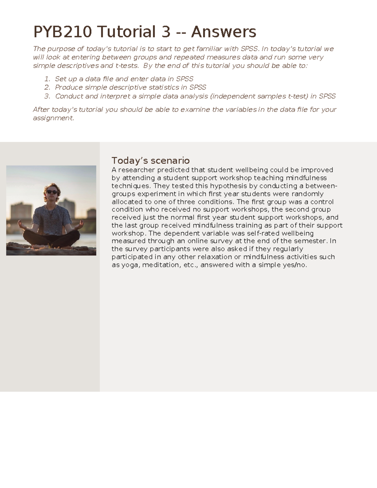 PYB210 Tutorial 3: SPSS Data Analysis & Wellbeing Study Insights - Studocu