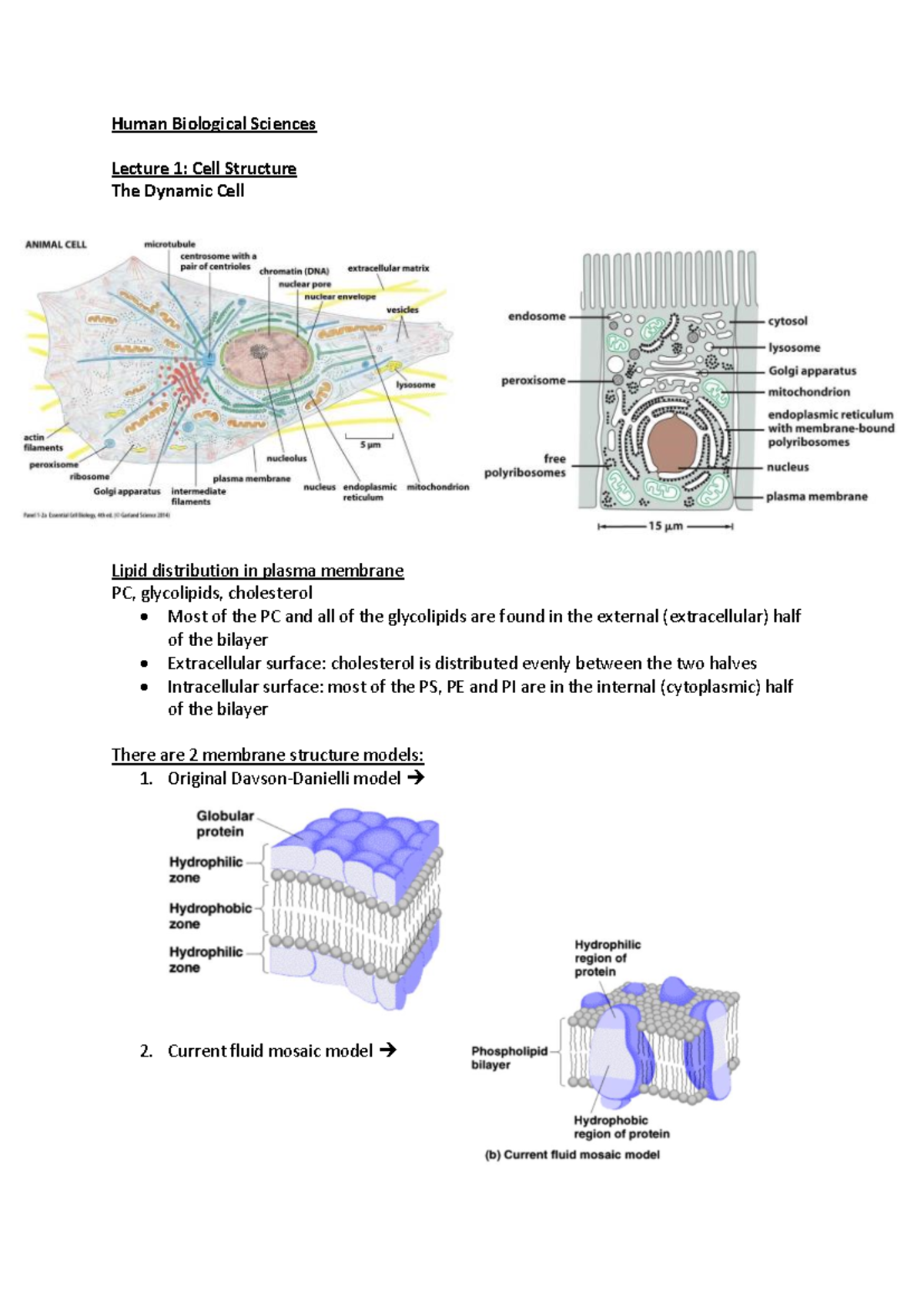 Biological Sciences 101: Lecture Notes on Cell Structure and Function ...
