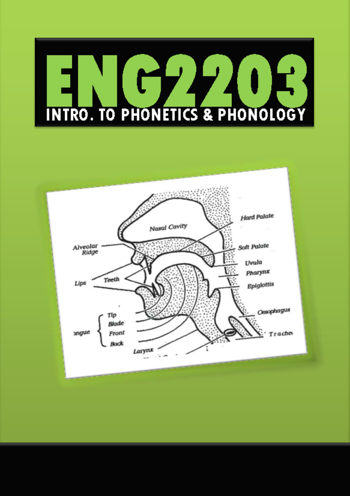 ENG2203 Final Exam Study Guide: Introduction to Phonetics & Phonology ...